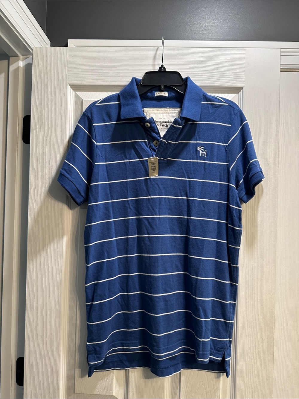 Abercrombie & Fitch Blue and White Striped Rugby Polo
